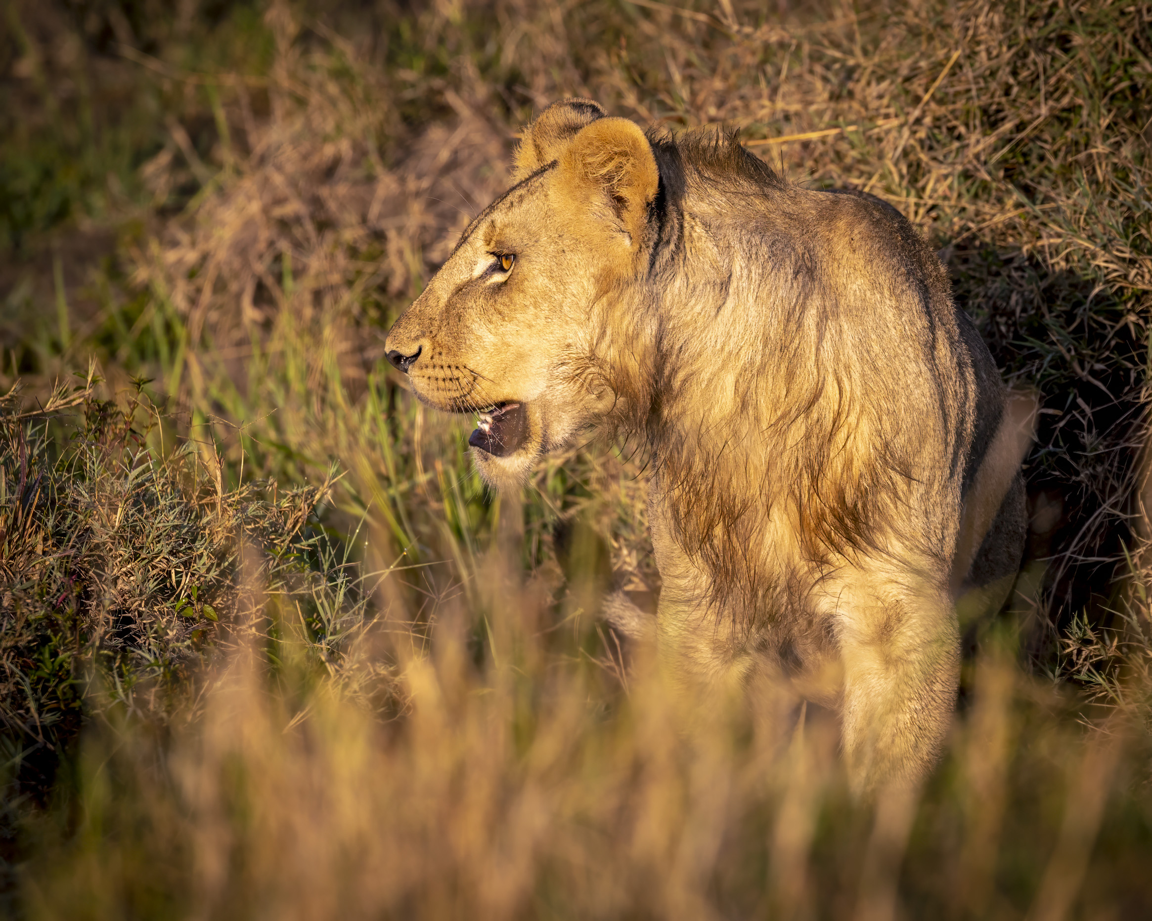 November 11, 2022-065320-2-Edit.jpg